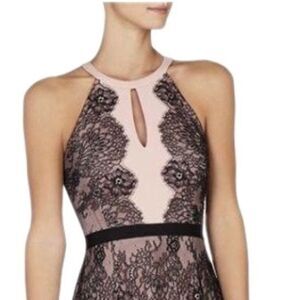 BCBGMAXAZRIAPINK Bcbg Leyla Halter Lace-contrast Cocktail Dress